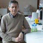 MAYORGA LUIS SEGUNDO