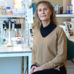 BELMONTE SILVIA ALEJANDRA